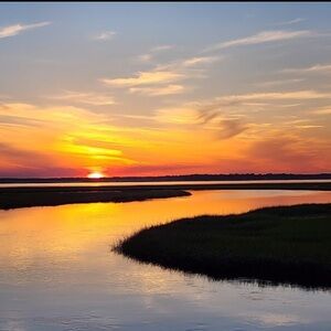 Meet your Posher, Savannah